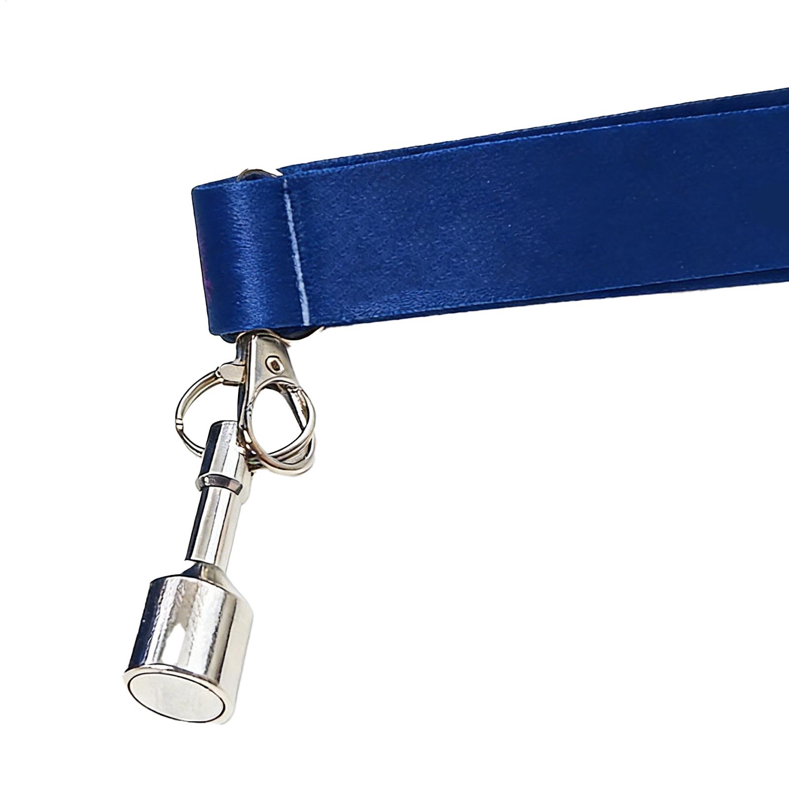 Zestaw do zbierania piłek do b – Home Security Training recenzja i cena